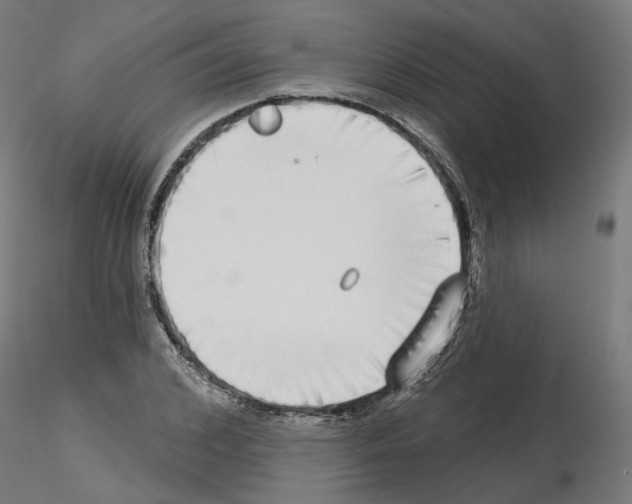 X0000115550976200912181549