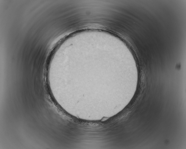 X0000115550979200912181549