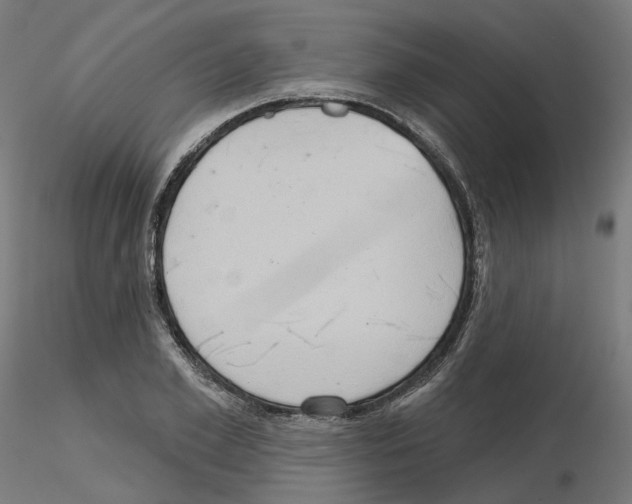 X0000115550981200912181549