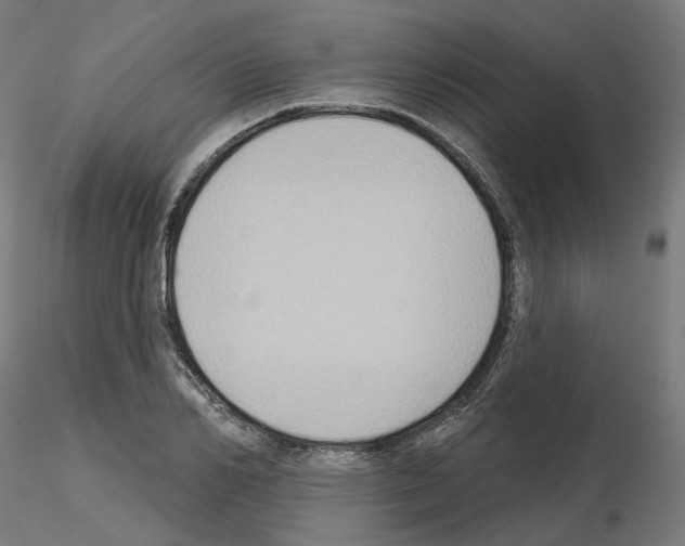 X0000115550982200912181548