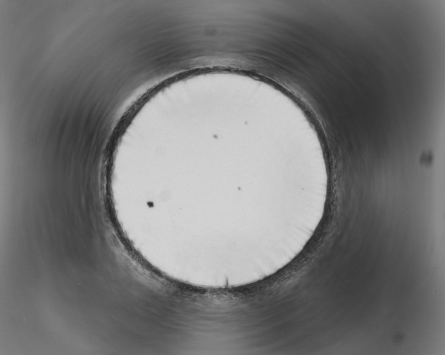 X0000115550983200912181548