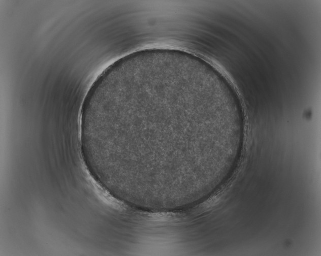 X0000115550988200912181548