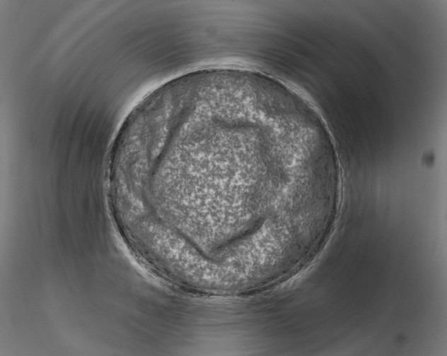 X0000115550989200912181548