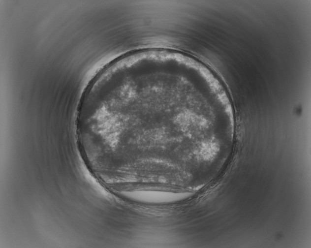 X0000115550995200912181548