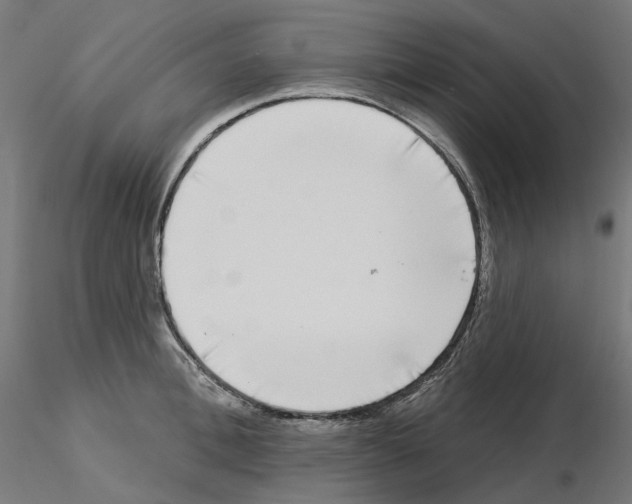 X0000115550996200912181548