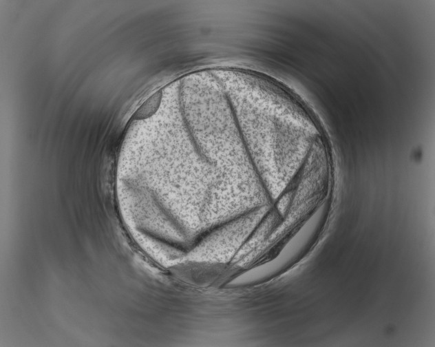 X0000115551001200912181548