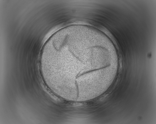 X0000115551002200912181548