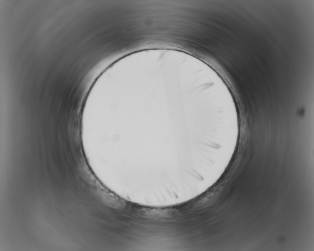 X0000115551004200912181548