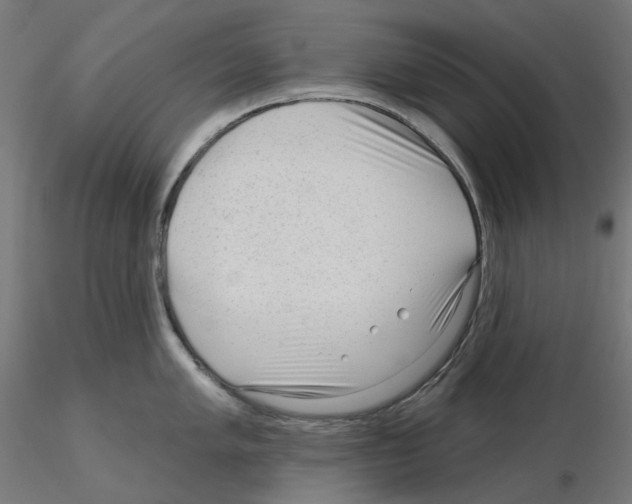 X0000115551005200912181548