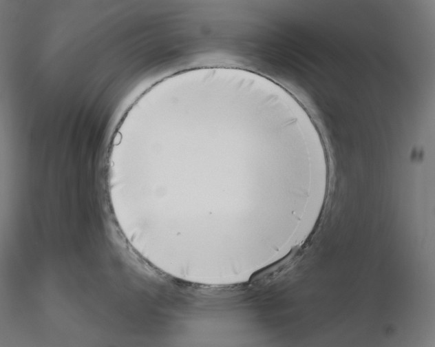 X0000115551008200912181548