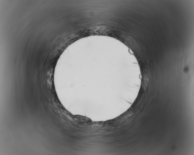 X0000115551010200912181547