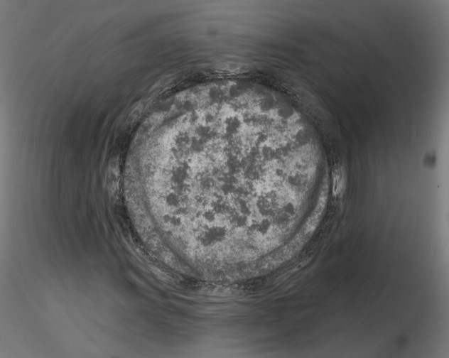 X0000115551011200912181548