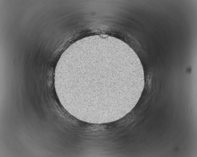 X0000115551012200912181548