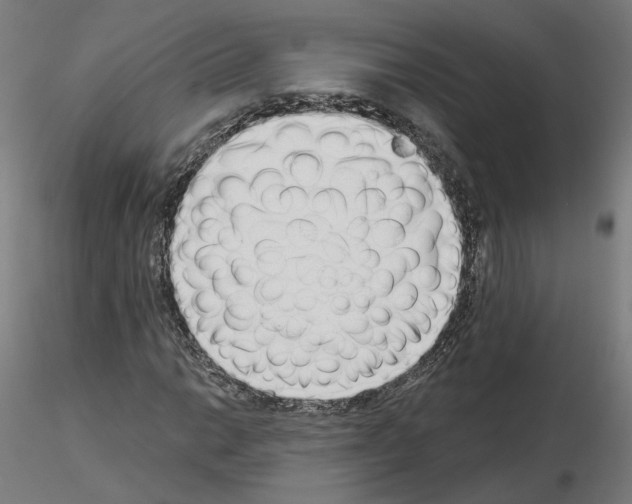 X0000115551014200912181548