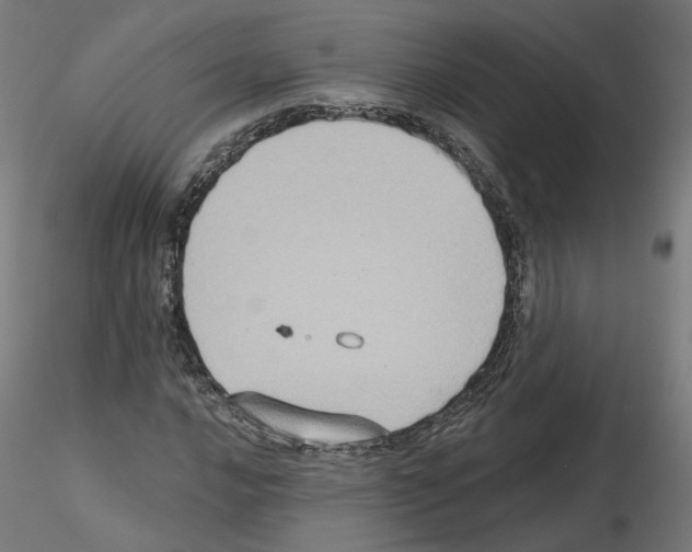 X0000115551016200912181548