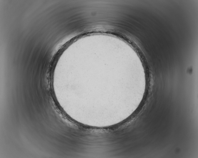 X0000115551018200912181548