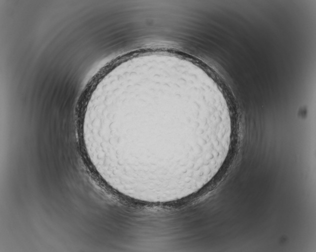 X0000115551022200912181548