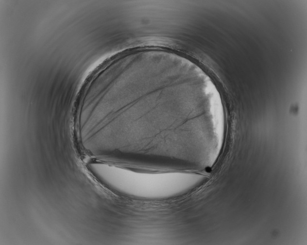 X0000115551024200912181548