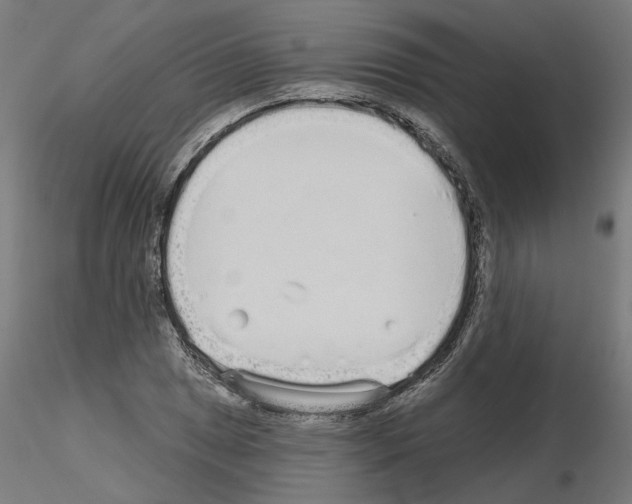 X0000115551025200912181548