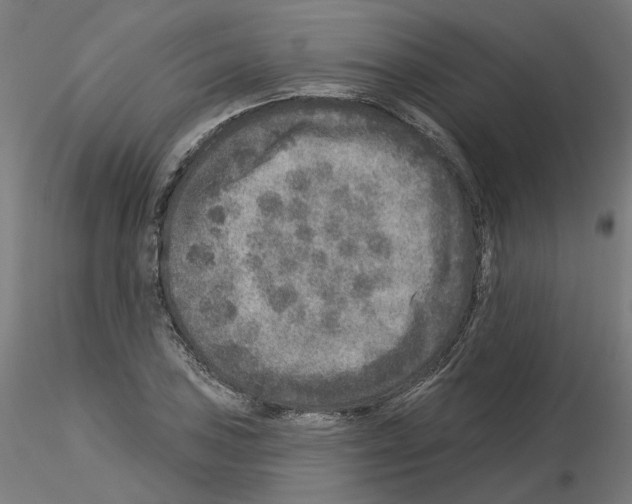 X0000115551027200912181548