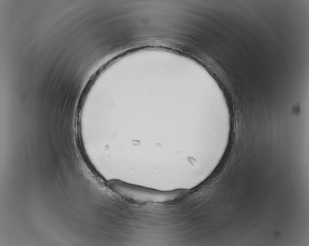 X0000115551028200912181548