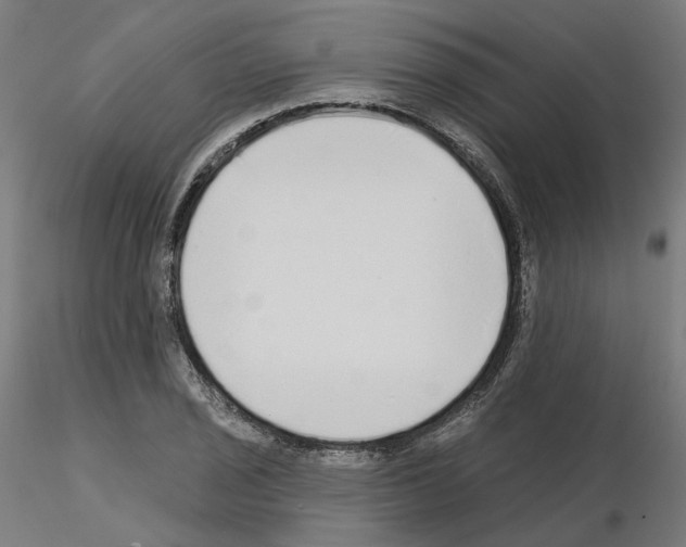 X0000115551029200912181548