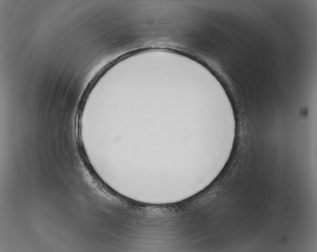 X0000115551032200912181548