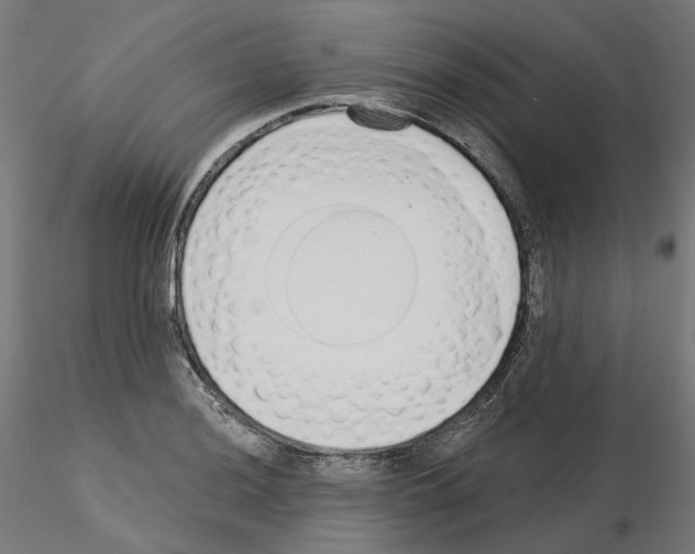 X0000115551036200912181548