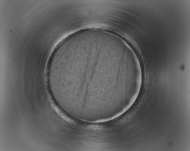 X0000115551037200912181548