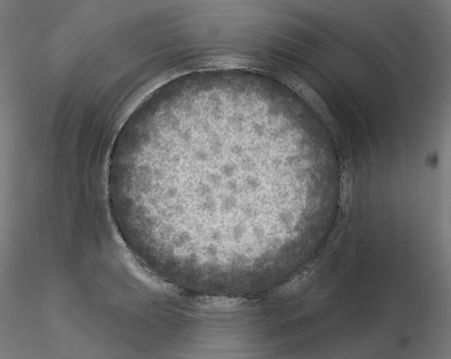 X0000115551039200912181548