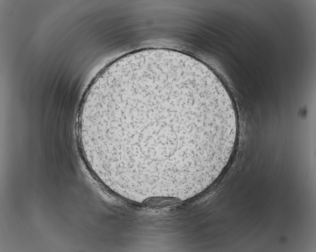 X0000115551040200912181548