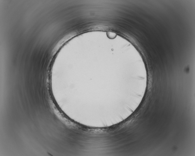 X0000115551042200912181548