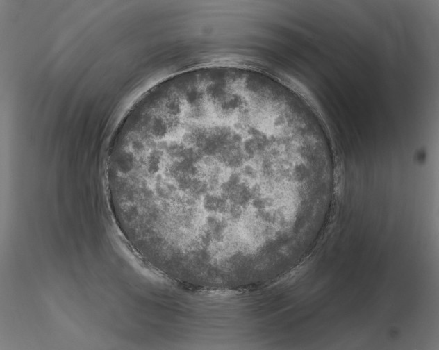 X0000115551043200912181548