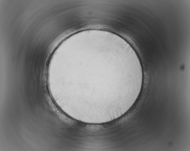 X0000115551046200912181548