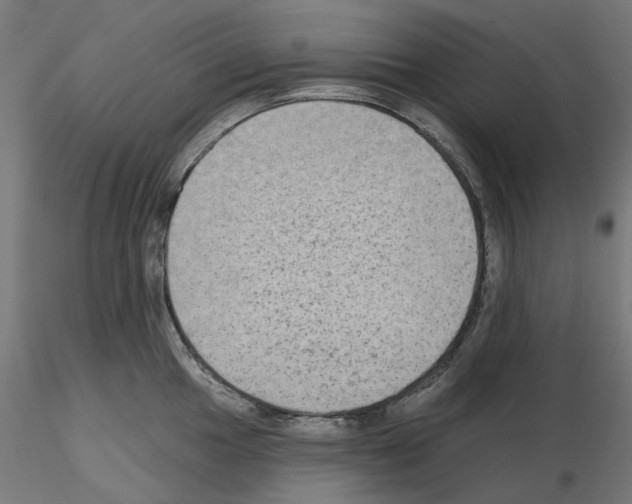 X0000115551049200912181548