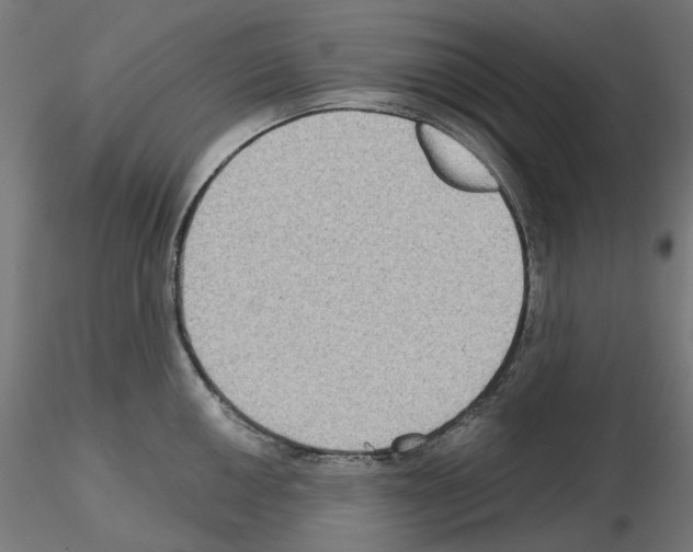 X0000115551050200912181548