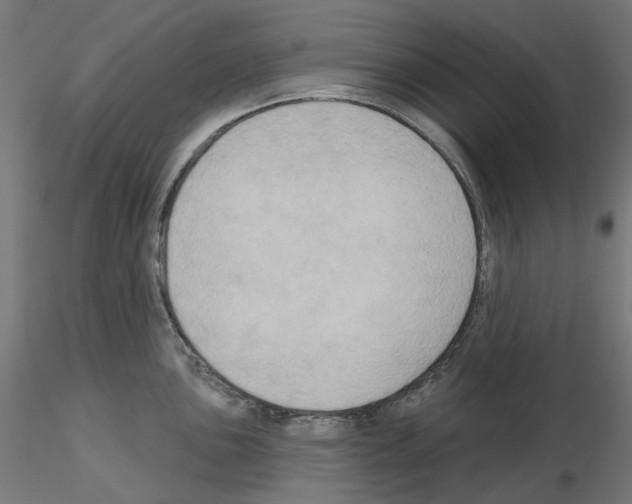 X0000115551051200912181548