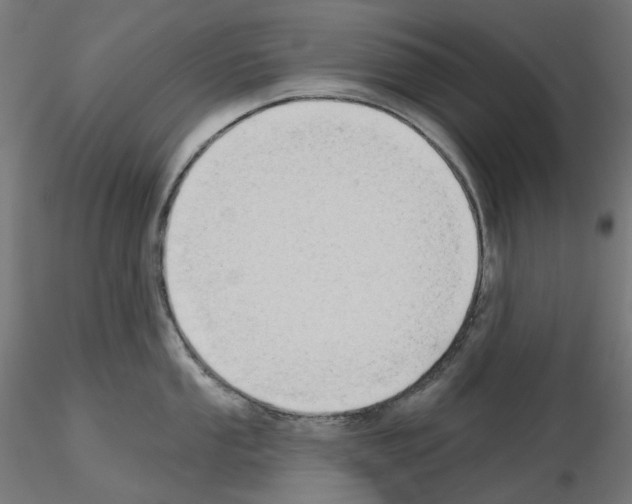 X0000115551053200912181548