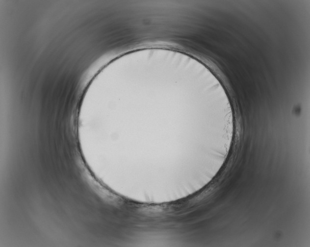 X0000115551054200912181548