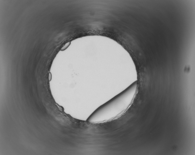 X0000115551057200912181547