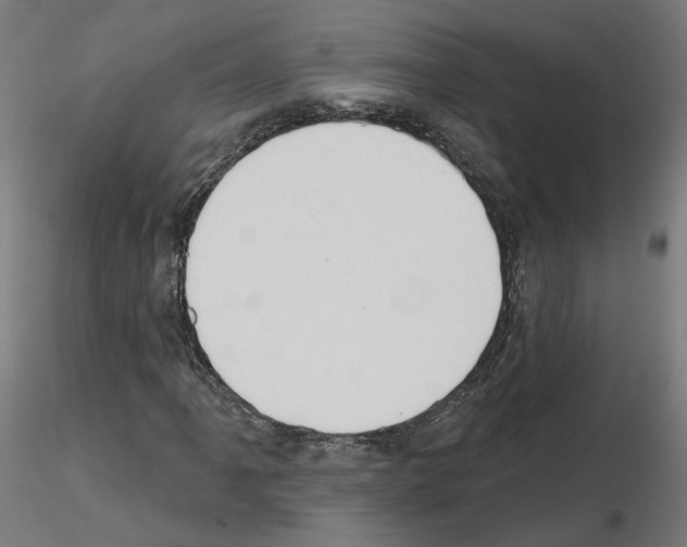 X0000115551061200912181547