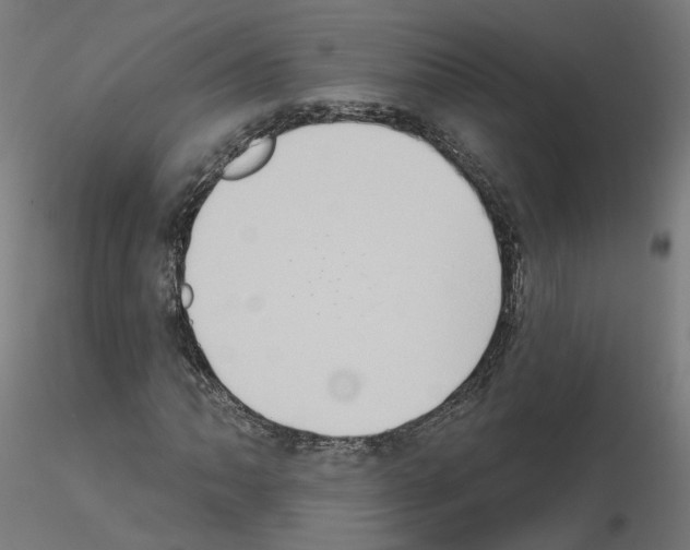 X0000115551062200912181547