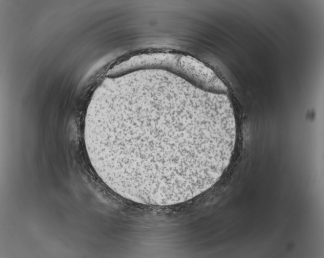 X0000115551064200912181547