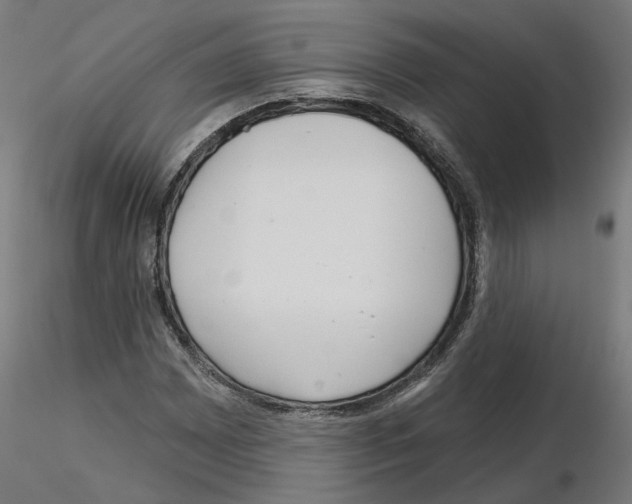 X0000115551065200912181547