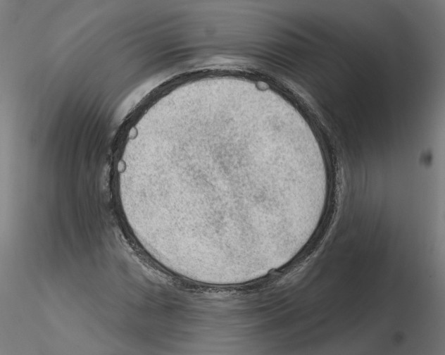 X0000115551066200912181547