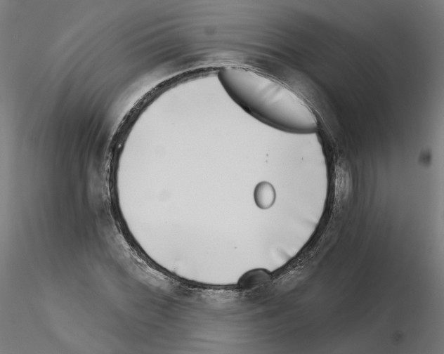 X0000115551068200912181547