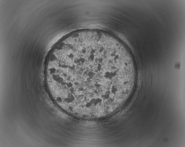 X0000115551071200912181547