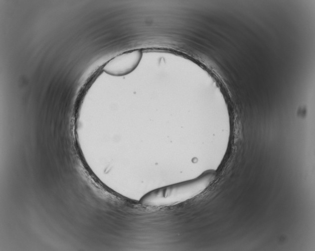 X0000115551072200912181547