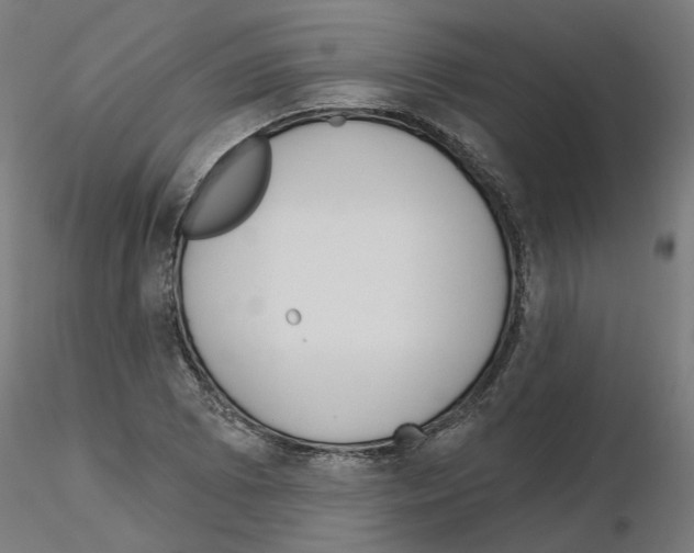 X0000115551073200912181547