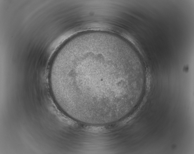 X0000115551074200912181547